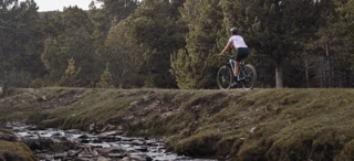 Eine Frau fährt mit dem Fahrrad auf einem Waldweg