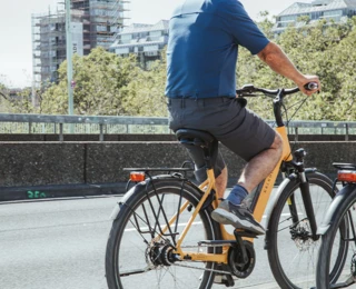 Radfahrer Terry Anatomica