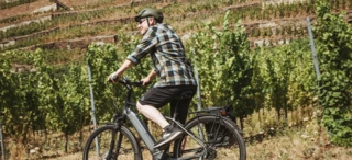 Cyclist riding in nature