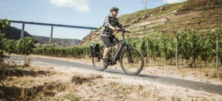 Cyclist rides along vines